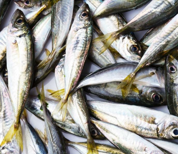 Сдам Дом У Моря أوديسا المظهر الخارجي الصورة